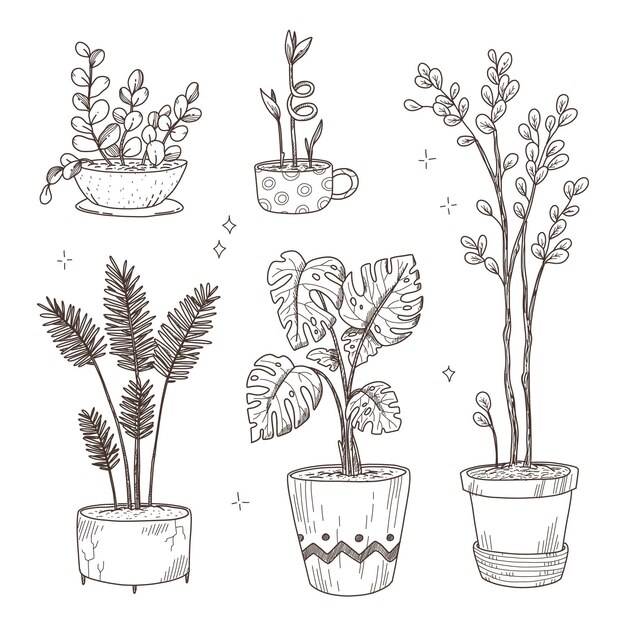 Hand drawn houseplant collection