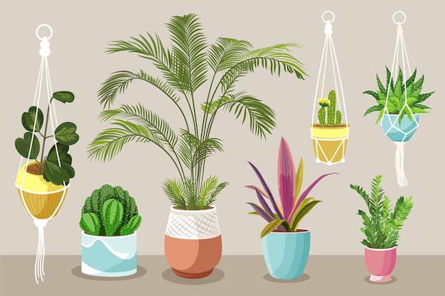 Коллекция рисованной комнатных растений