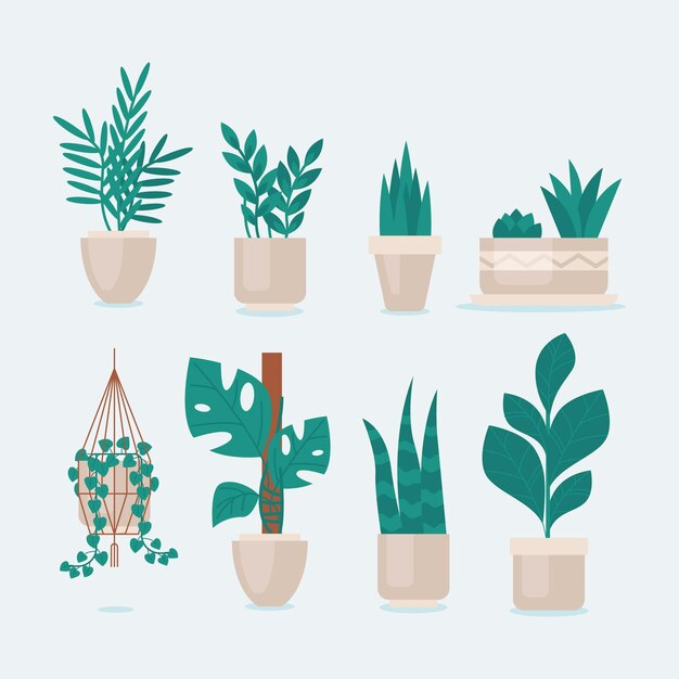 Hand drawn houseplants in pot collection