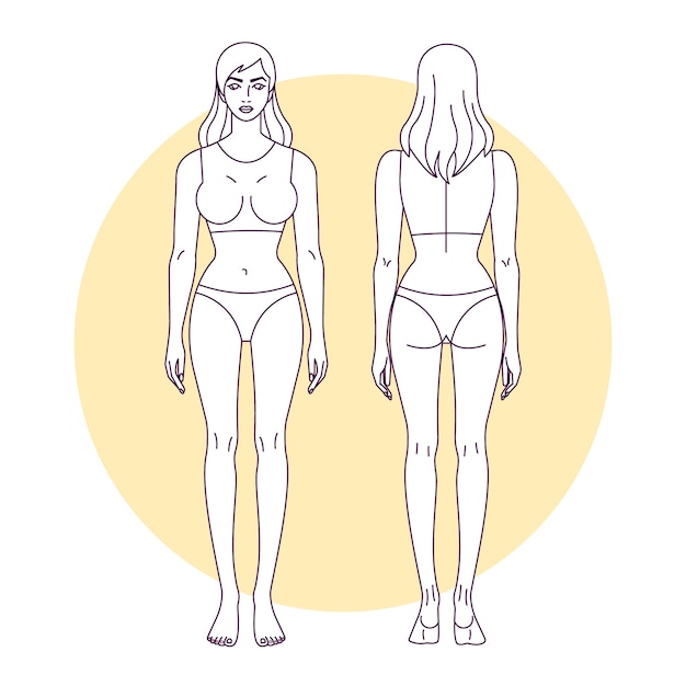 Free Vector hand drawn human body outline illustration