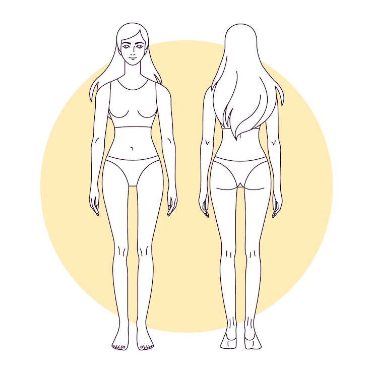 Free Vector hand drawn human body outline illustration