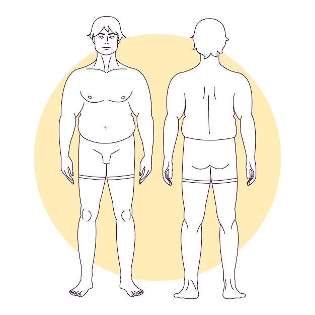 Free vector hand drawn human body outline illustration