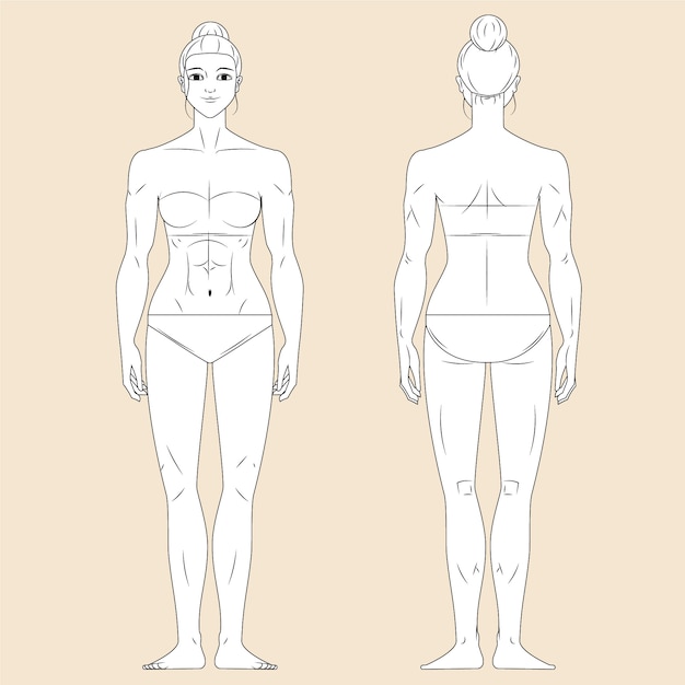 Free Vector hand drawn human body outline illustration