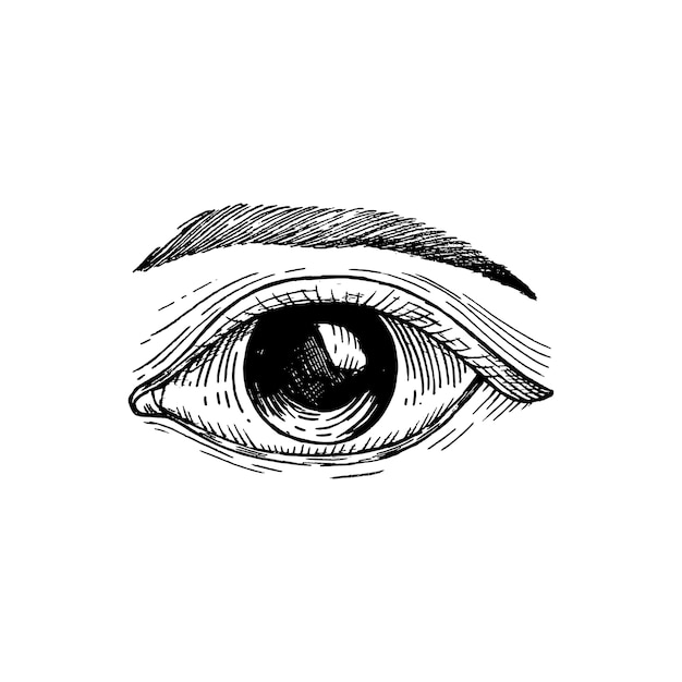 Hand drawn human eye