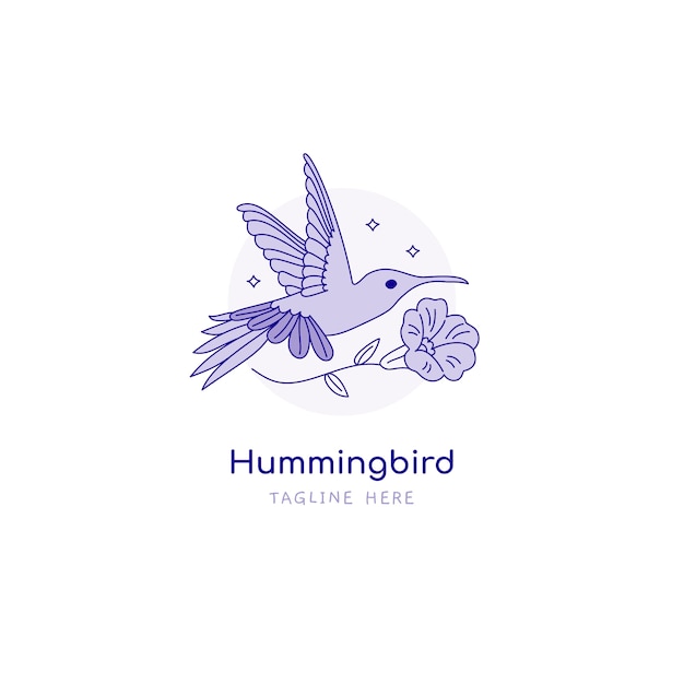 Hand drawn hummingbird logo design