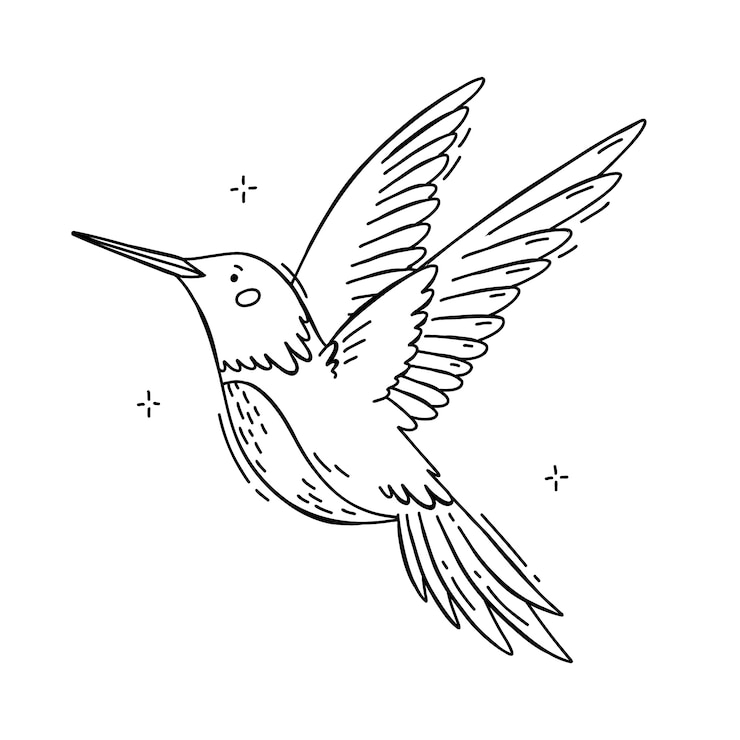 Free Vector hand drawn hummingbird outline illustration