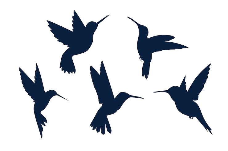 Free Vector hand drawn hummingbird silhouette
