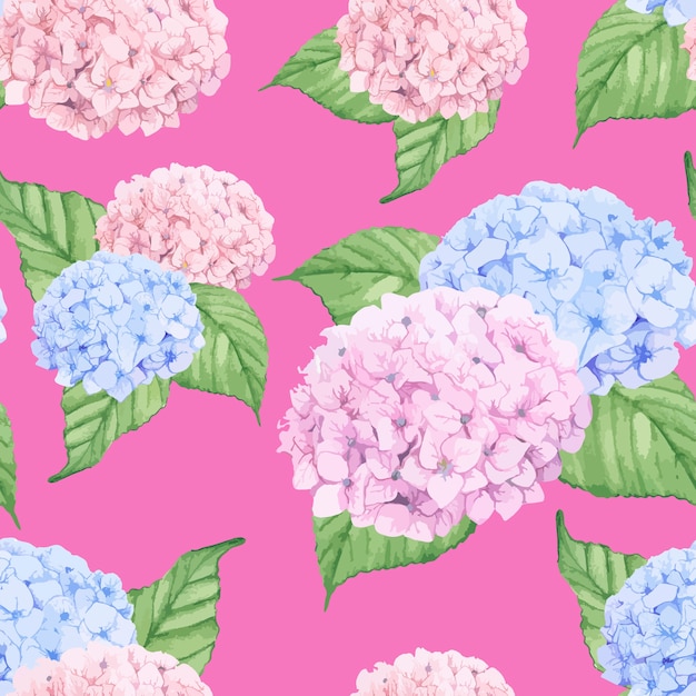 Hand drawn hydrangea flower isolated