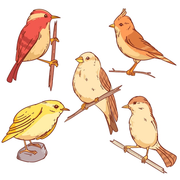 手描きイラスト鳥セット