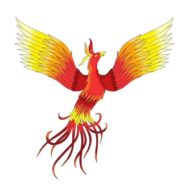 Free vector hand drawn illustration phoenix