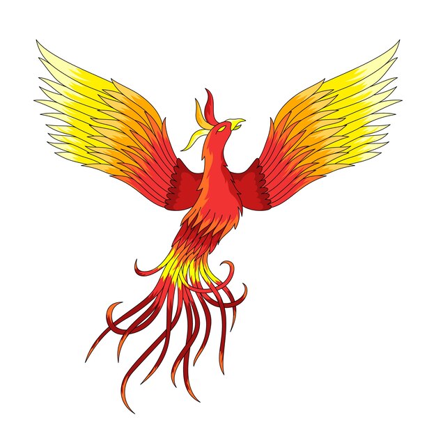 Hand drawn illustration phoenix
