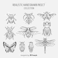 Free vector hand drawn insect collection