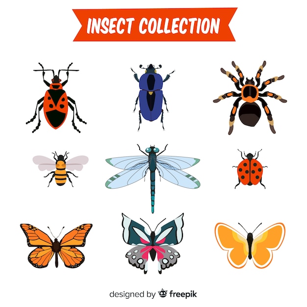 Free vector hand drawn insect collection