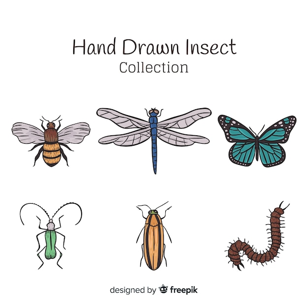 Vettore gratuito collezione di insetti disegnati a mano
