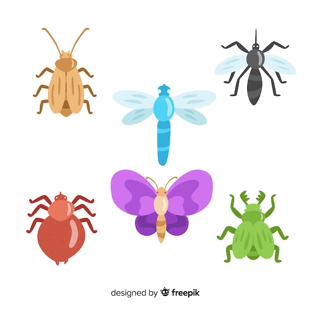 Hand drawn insect collection