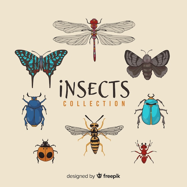 Free vector hand drawn insects pack