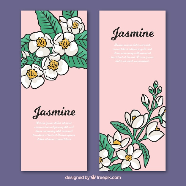 Free vector hand drawn jasmine banners