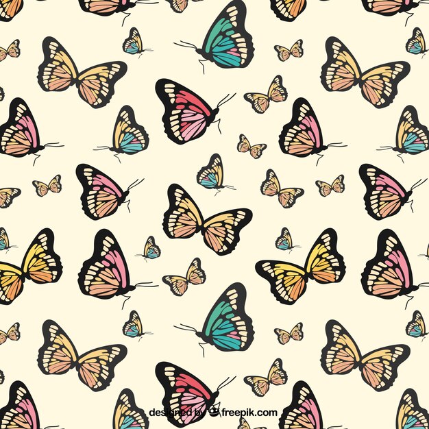 Hand drawn kinds of butterflies pattern