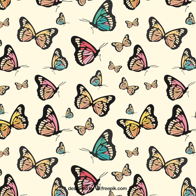 Hand drawn kinds of butterflies pattern