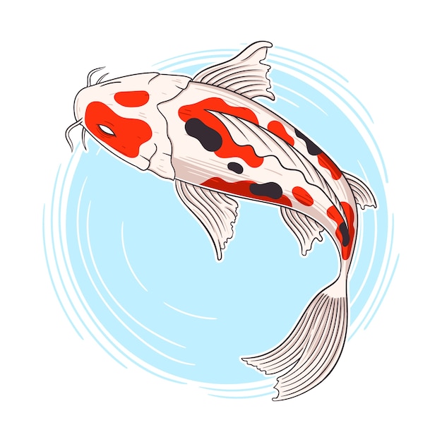 Hand drawn koi illustration