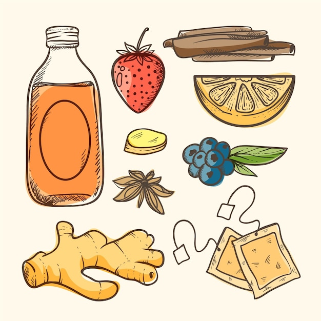 Vettore gratuito illustrazione disegnata a mano del tè di kombucha con gli ingredienti