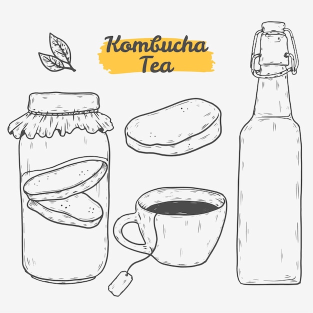 손으로 그린 kombucha 차 삽화