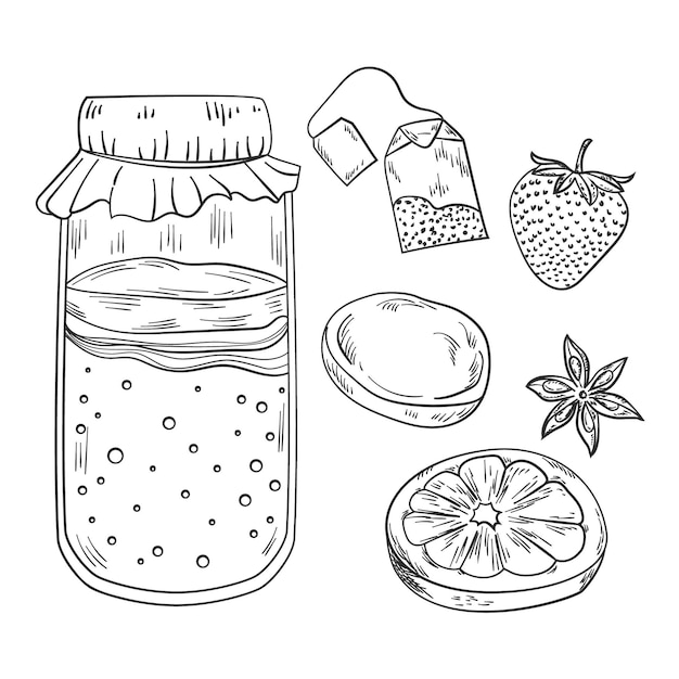 Hand drawn kombucha tea