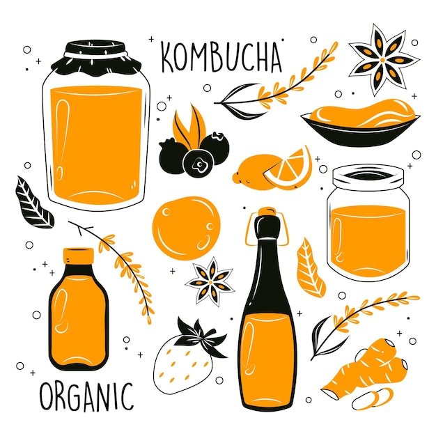 손으로 그린 kombucha 차