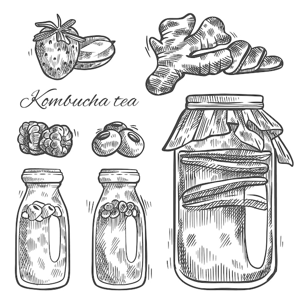 Hand drawn kombucha tea