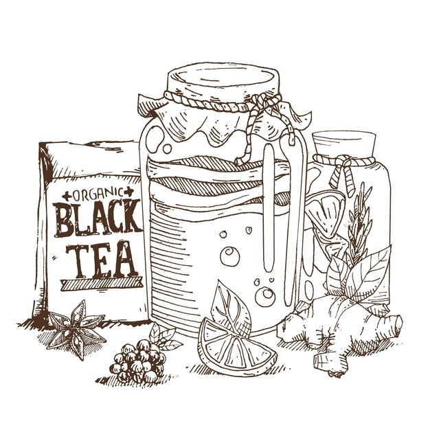 Hand drawn kombucha tea