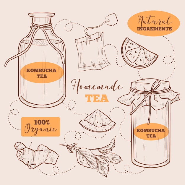 Free vector hand drawn kombucha tea