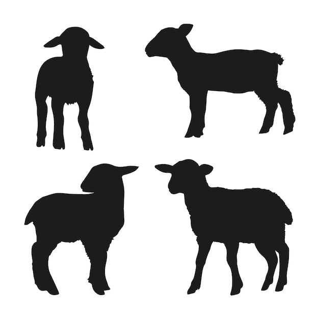 Hand drawn lamb silhouette set