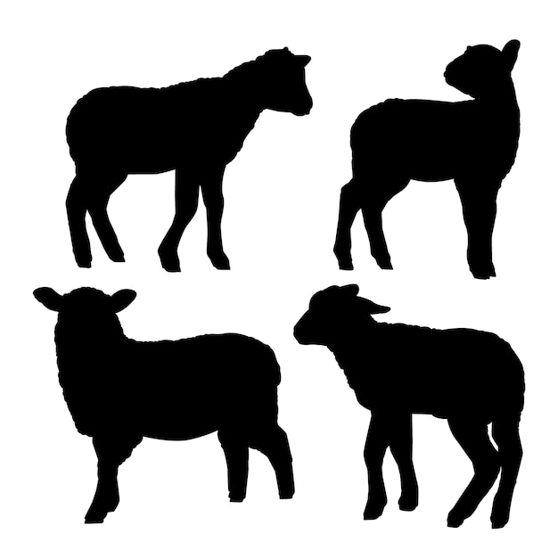 Set di silhouette di agnello disegnate a mano