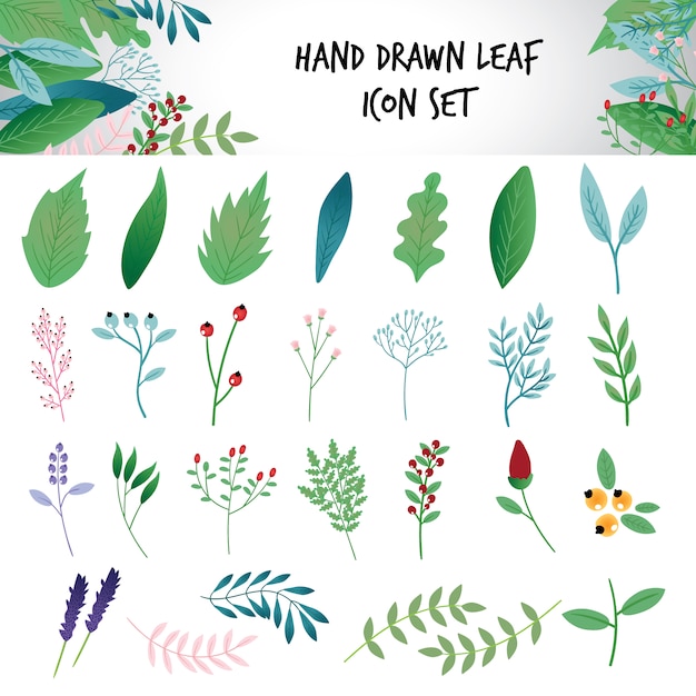 Hand drawn leaf icons set