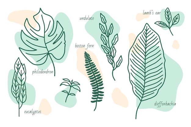 Free vector hand drawn leaf types set with abstract shapes