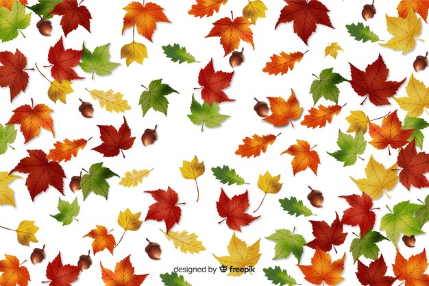 Hand drawn leaves autumn background