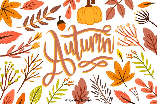 Hand drawn leaves autumn background