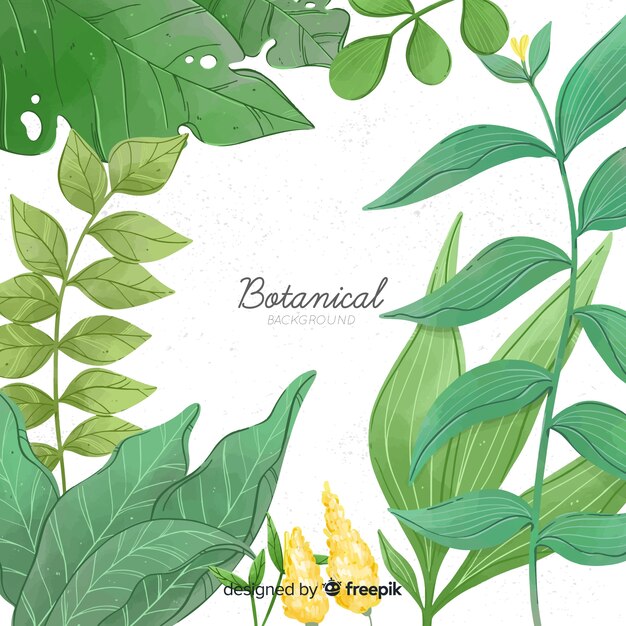 hand drawn leaves background
