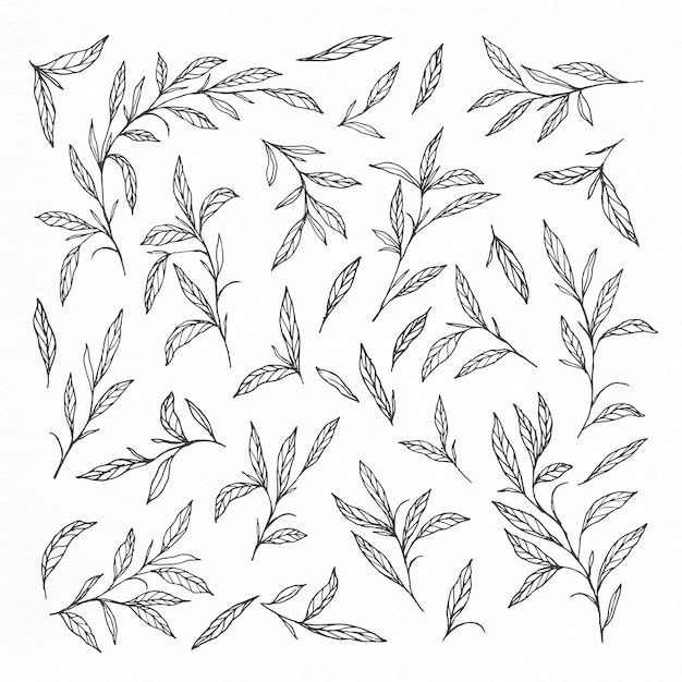 Free vector hand drawn leaves and branches collections