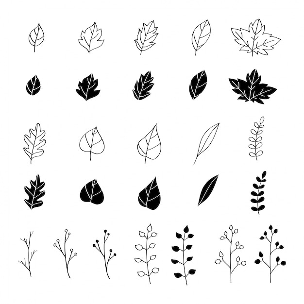 手描きの葉のデザイン要素