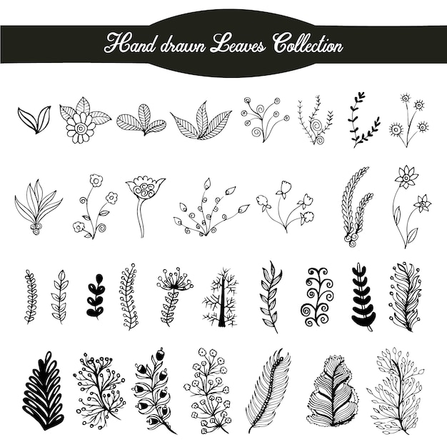 Hand drawn leaves collection