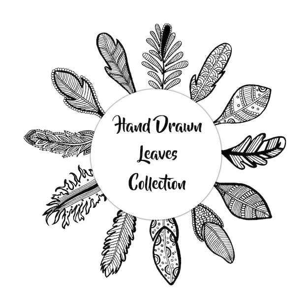  hand drawn leaves collection