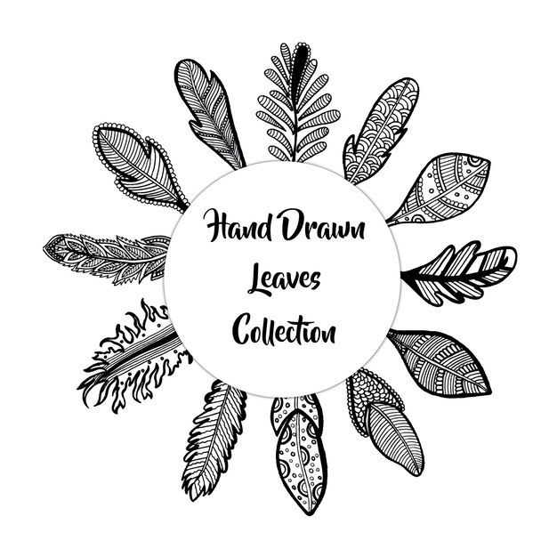 Free Vector  hand drawn leaves collection