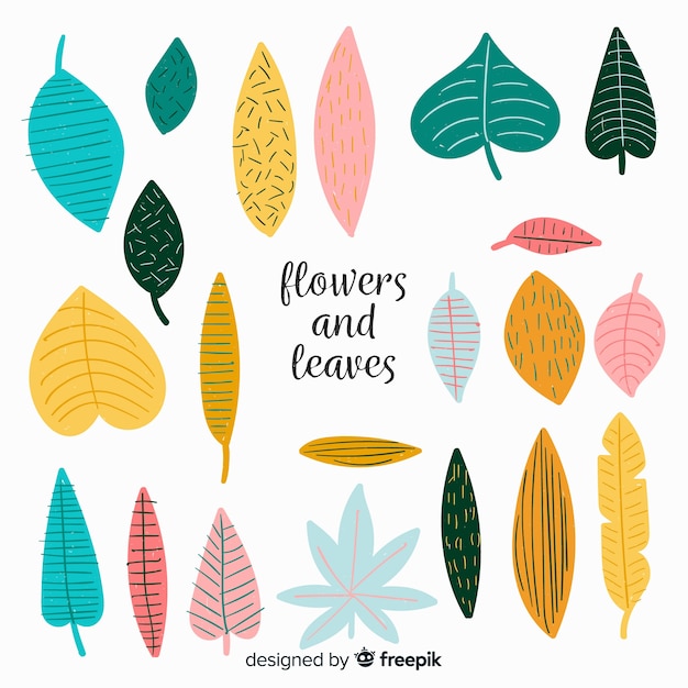 Free Vector hand drawn leaves collection