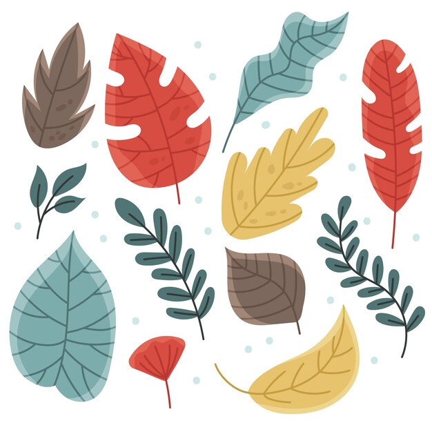 Hand drawn leaves collection