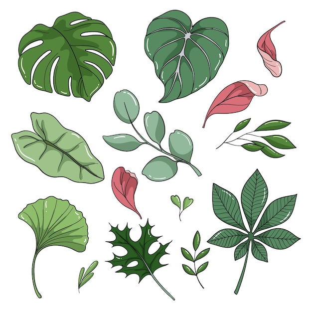 Hand drawn leaves collection