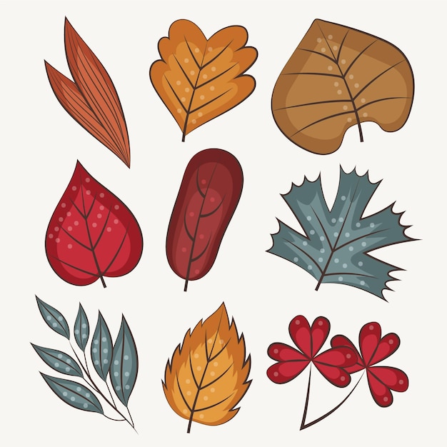 Hand drawn leaves collection