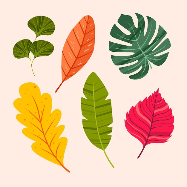 Hand drawn leaves collection