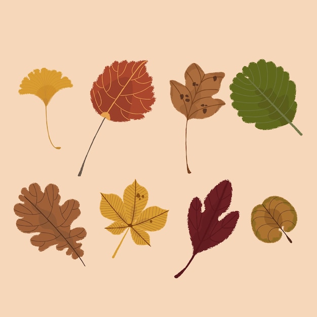 Free vector hand drawn leaves collection