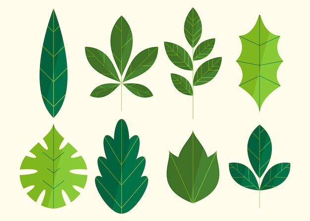 Бесплатное векторное изображение Коллекция рисованной листьев
